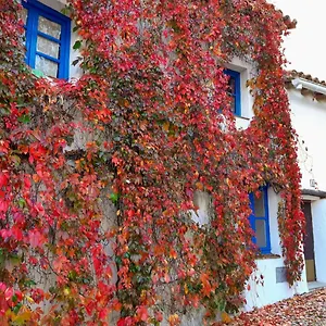 casita-collado-1.es-andalucia.com/